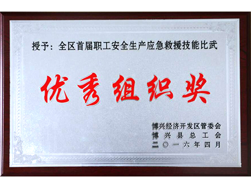 全區(qū)首屆職工安全生產(chǎn)應(yīng)急救援比武優(yōu)秀組織獎(jiǎng)